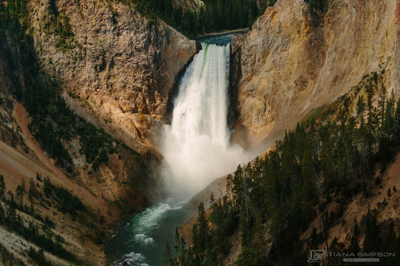 Yellowstone 2015 BLOG 2