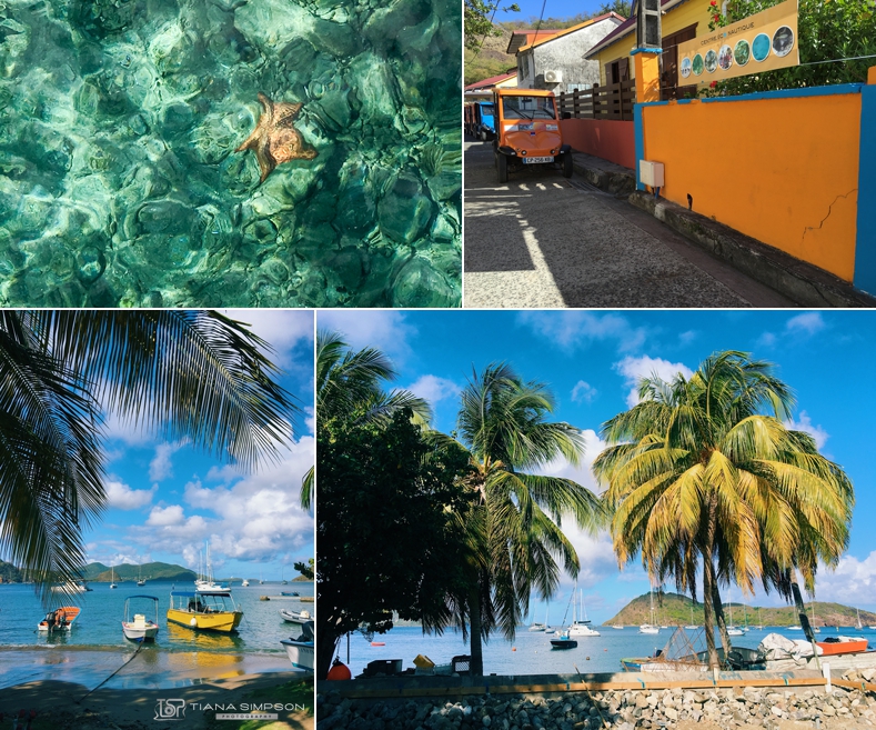 Guadeloupe2016 6